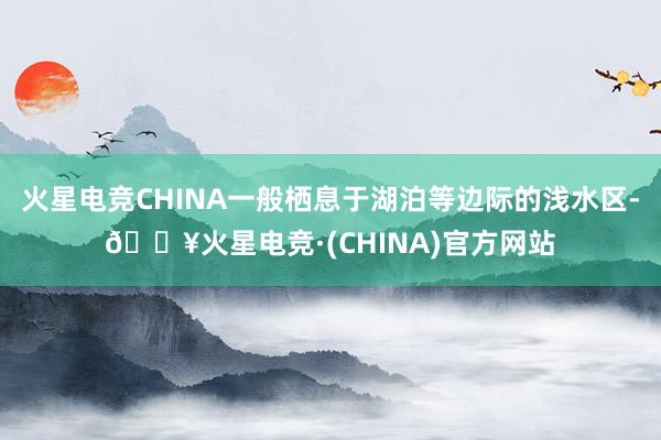 火星电竞CHINA一般栖息于湖泊等边际的浅水区-🔥火星电竞·(CHINA)官方网站