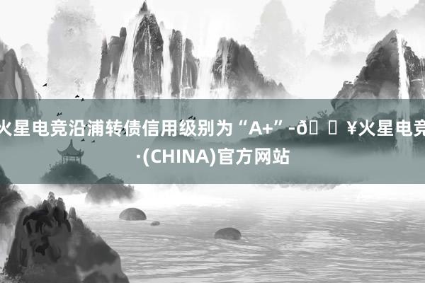 火星电竞沿浦转债信用级别为“A+”-🔥火星电竞·(CHINA)官方网站