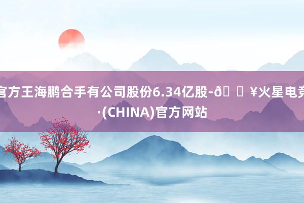 官方王海鹏合手有公司股份6.34亿股-🔥火星电竞·(CHINA)官方网站