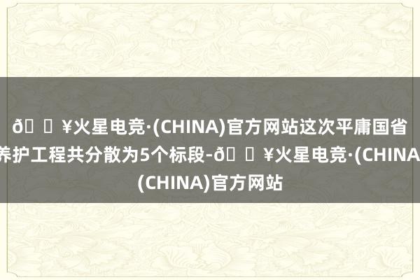 🔥火星电竞·(CHINA)官方网站这次平庸国省主线公路养护工程共分散为5个标段-🔥火星电竞·(CHINA)官方网站